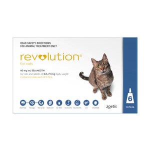 Revolution Flea Spot-On for Cats Square