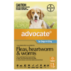 Advocate For Dogs 4 - 10kg - 3 Pack