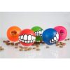 All 5 Rogz Grinz Ball Colours with Treats