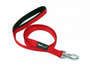 Padded Nylon Dog Lead Small Red