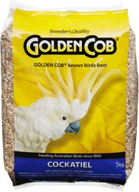 Golden Cob Cockatiel 5kg