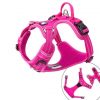 Truelove Explosion-Proof Harness Pink Side