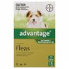 Advantage For Puppies & Small Dogs Up To 4kg