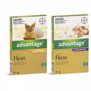 Advantage For Kittens & Cats