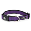 Bainbridge Premium Sport Collar Purple