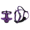 Bainbridge Premium Sport Dog Harness Purple