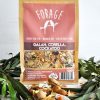 Forage Seed Galah Corella Cockatoo 500g