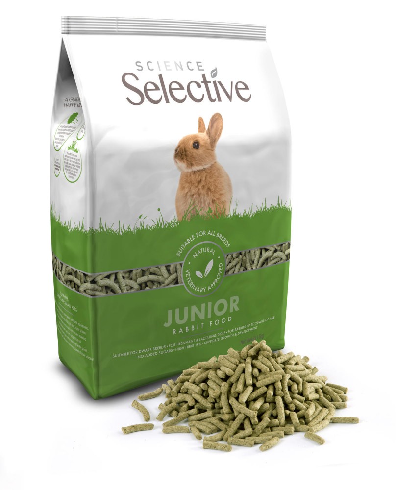 Science Selective Junior Rabbit